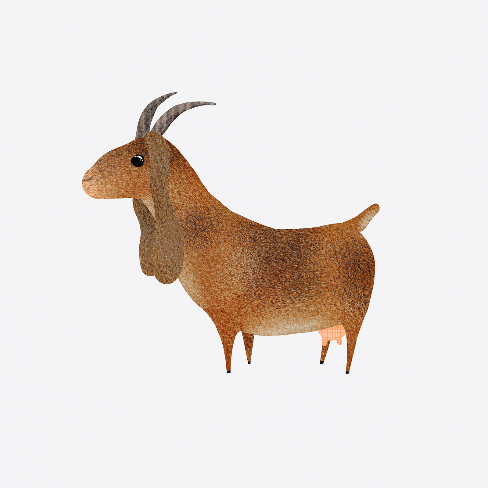 Gilly The Goat Illustration