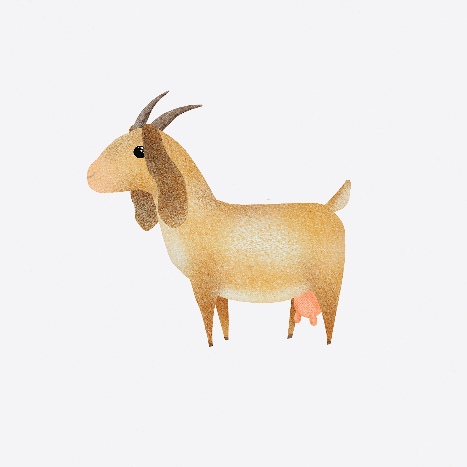 Gilly The Goat Illustration