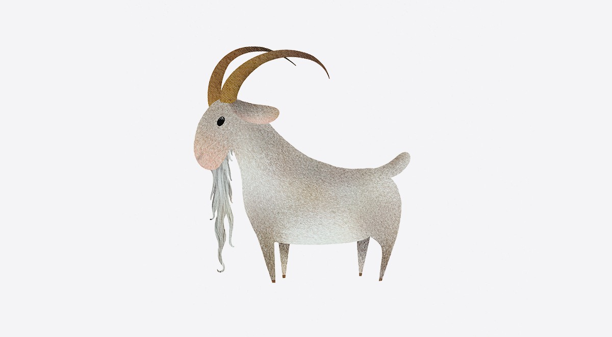 Illustrations for children's book Gilly The Goat.